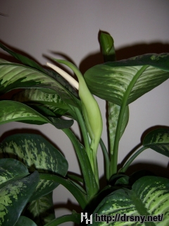 klikni pro detail...